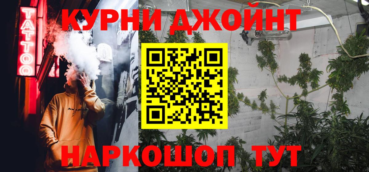 Шишки марихуана план  Вход с VPN  Конопля White Widow  Конопля THC 21%  Когалым 